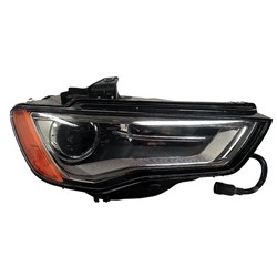 Oakland Body Parts