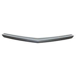 REAR BUMPER COVER MOLDING