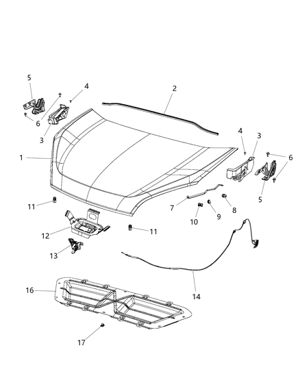 Oakland Body Parts