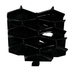 Oakland Body Parts