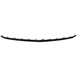 FRONT BUMPER COVER MOLDING