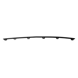 FRONT BUMPER COVER MOLDING